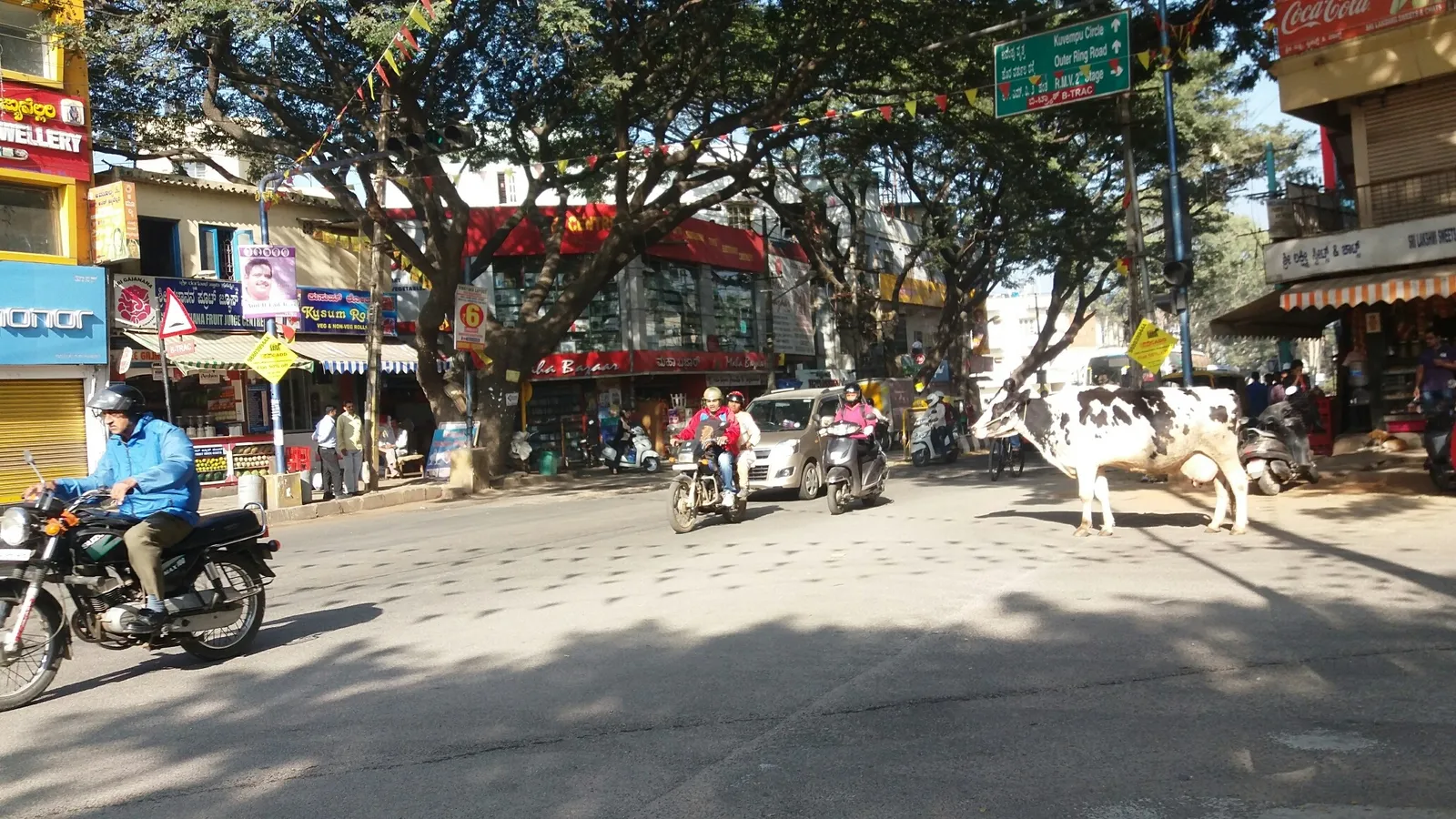 Good morning Bengaluru. Alte Bäume säumen die Straßen.