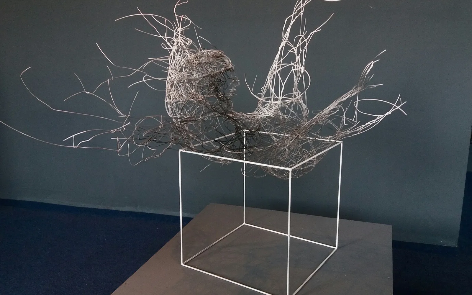 Exploding into Being, Stahldraht, Kupferdraht, lackiert, H 84 B 65 T 80 cm, 2017