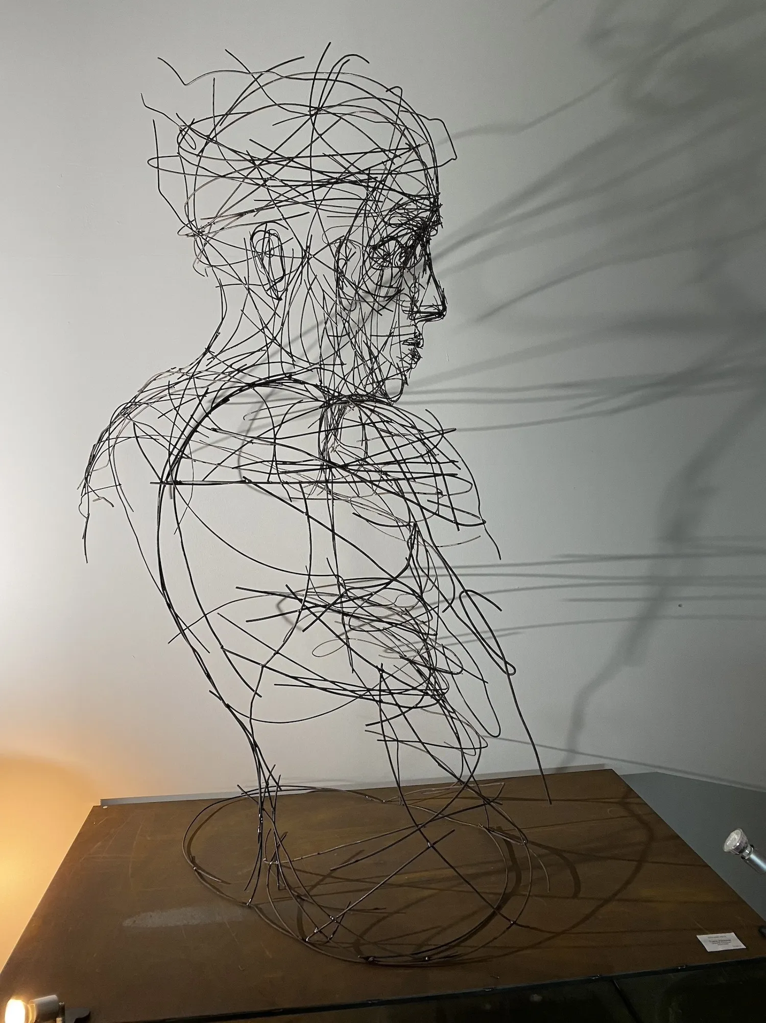 BECOMING – Drahtskulptur von Bildhauerin Stefanie Welk, Kunst für Wohnraum, Praxisräume und Büro