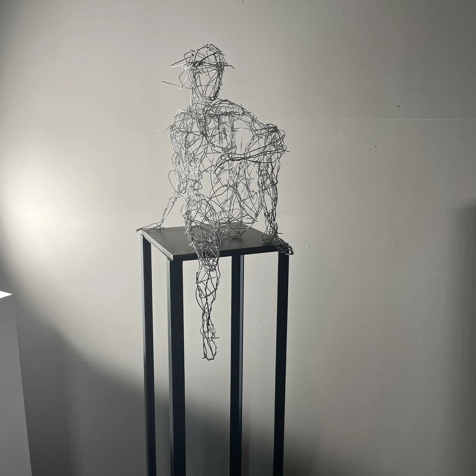 REFLECTING – Drahtskulptur von Bildhauerin Stefanie Welk, Kunst für Wohnraum, Praxisräume und Büro