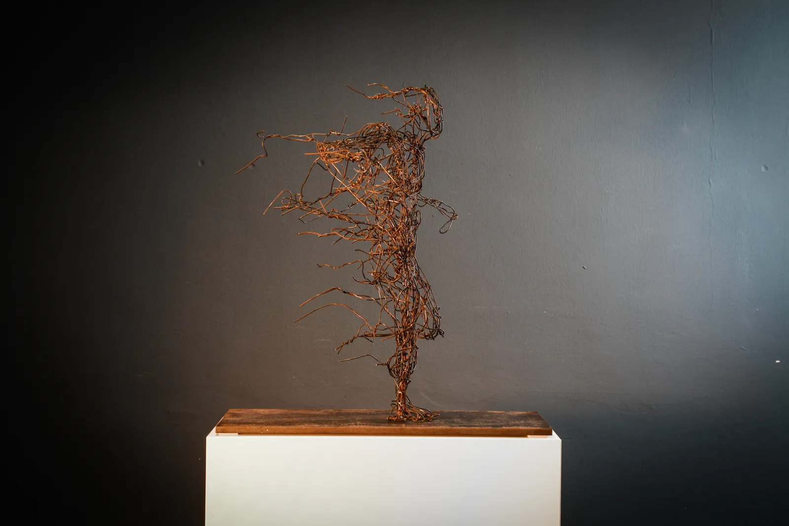 SPRINTER / Werkserie – Drahtskulptur von Bildhauerin Stefanie Welk, Kunst für Wohnraum, Praxisräume und Büro