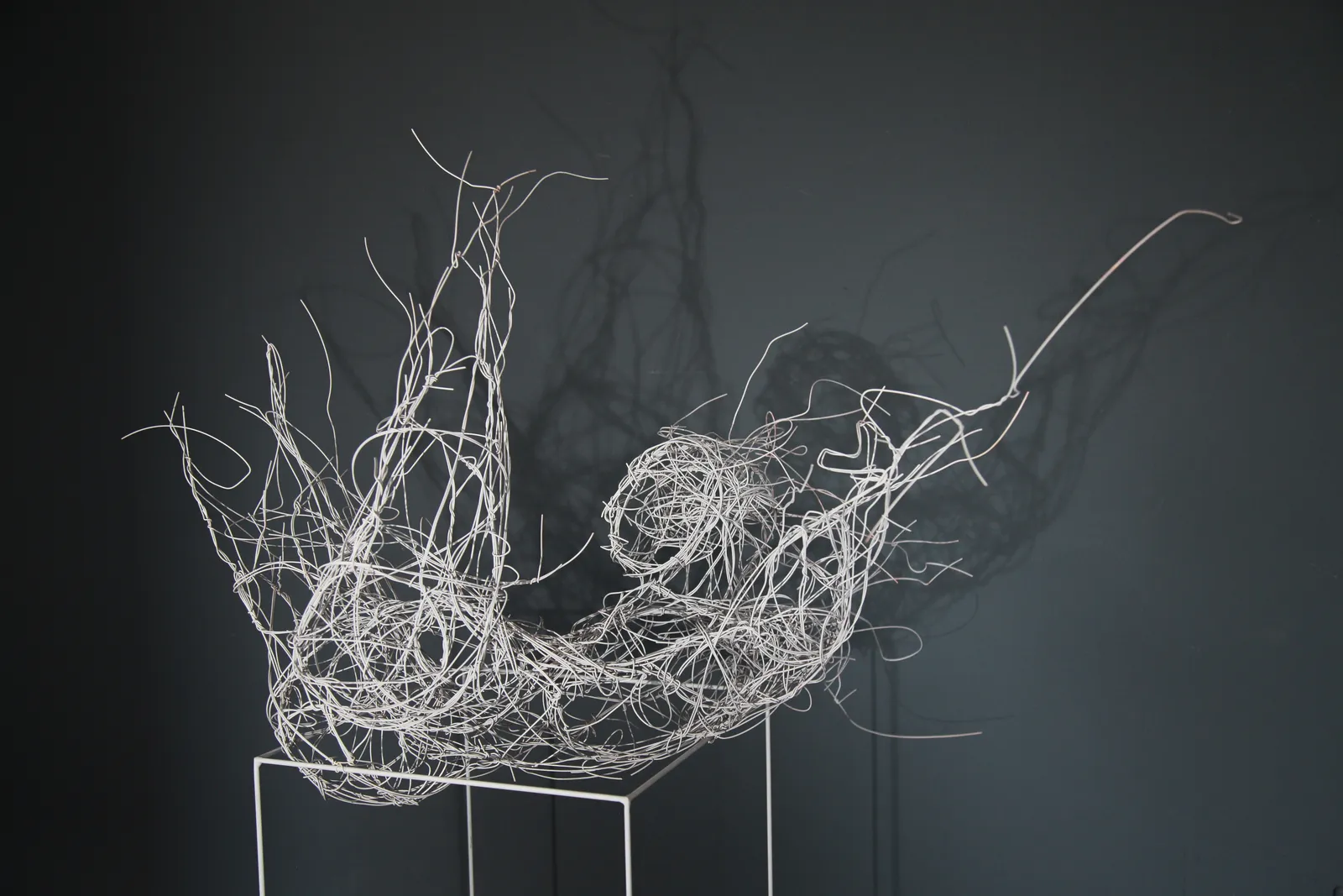 EXPLODING INTO BEING – Drahtskulptur von Bildhauerin Stefanie Welk, Kunst für Wohnraum, Praxisräume und Büro