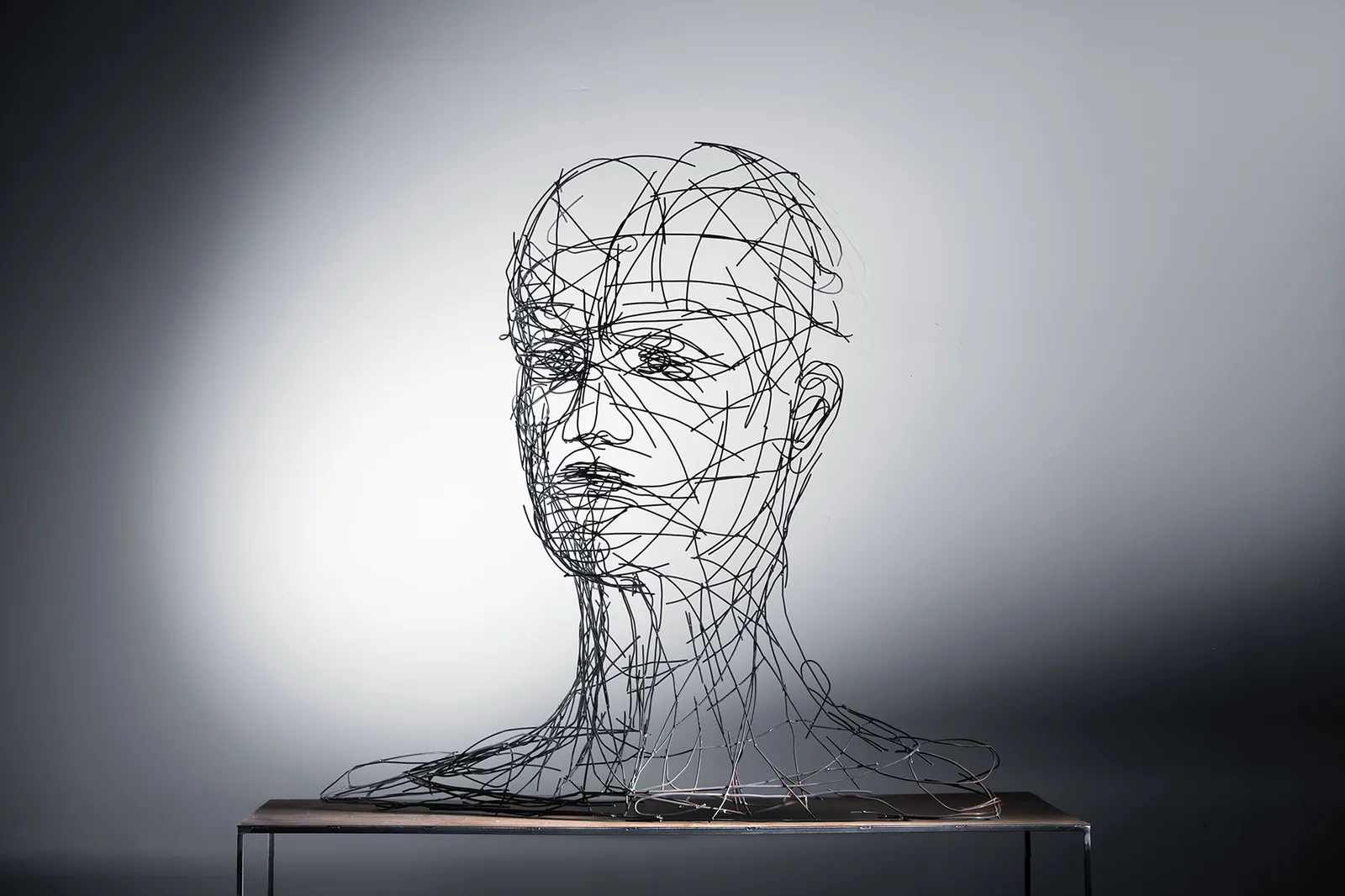 TRANS_PERSONAL – Drahtskulptur von Bildhauerin Stefanie Welk, Kunst für Wohnraum, Praxisräume und Büro