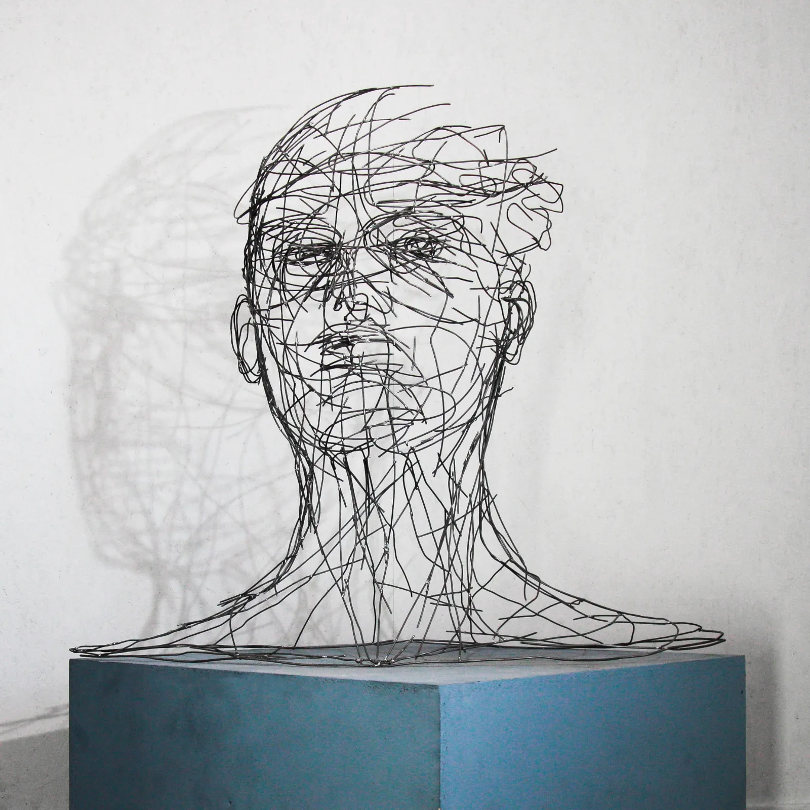 HOLOTROP – Drahtskulptur von Bildhauerin Stefanie Welk, Kunst für Wohnraum, Praxisräume und Büro